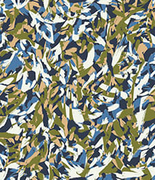 IMAGE_T