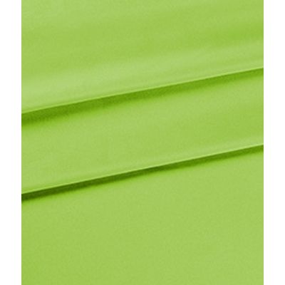 IMAGE_T