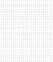 IMAGE_T