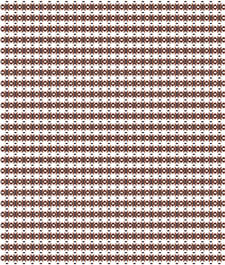 IMAGE_T