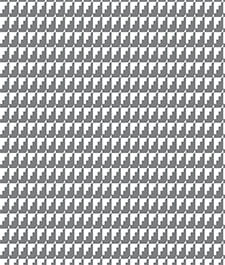 IMAGE_T