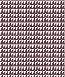 IMAGE_T