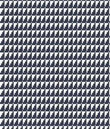 IMAGE_T