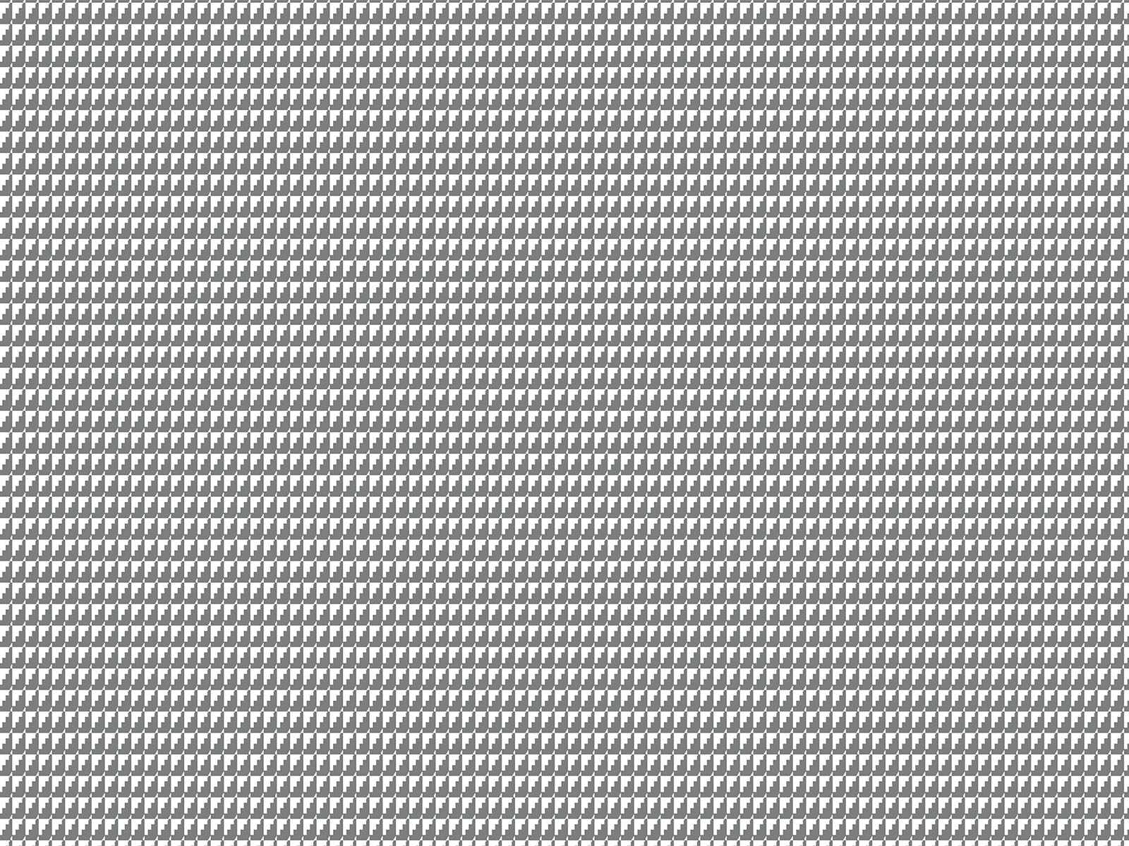 IMAGE_L