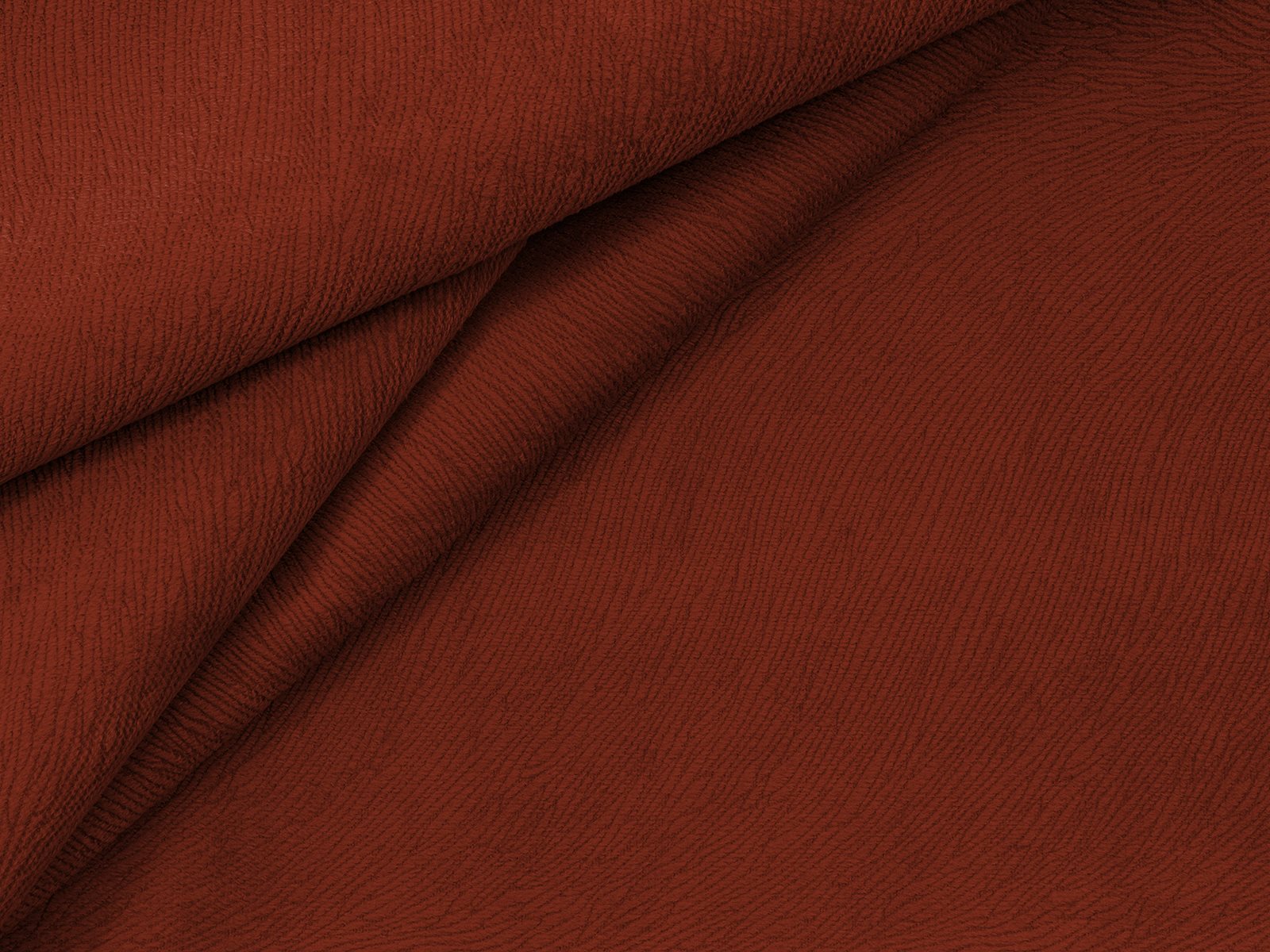 IMAGE_L