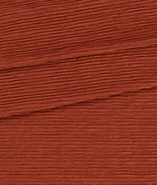 IMAGE_T