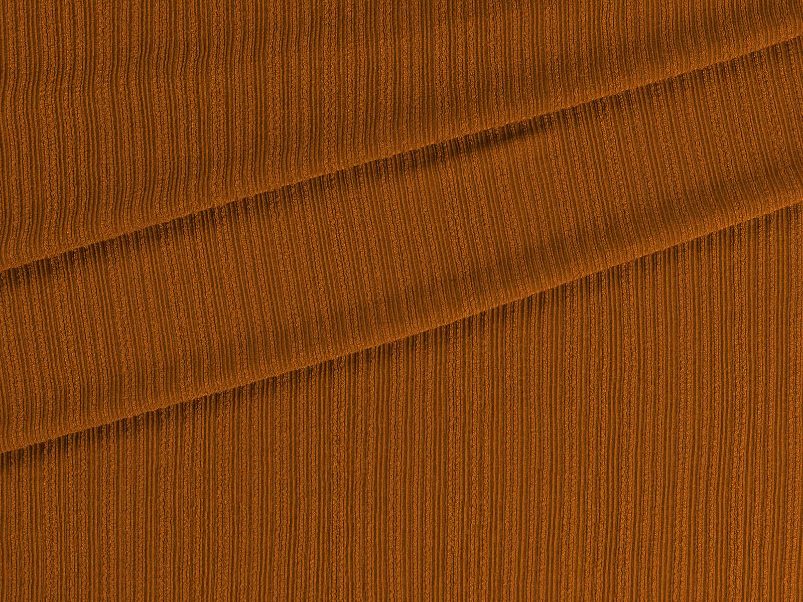IMAGE_L