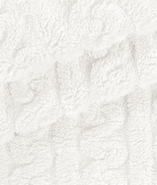 IMAGE_T