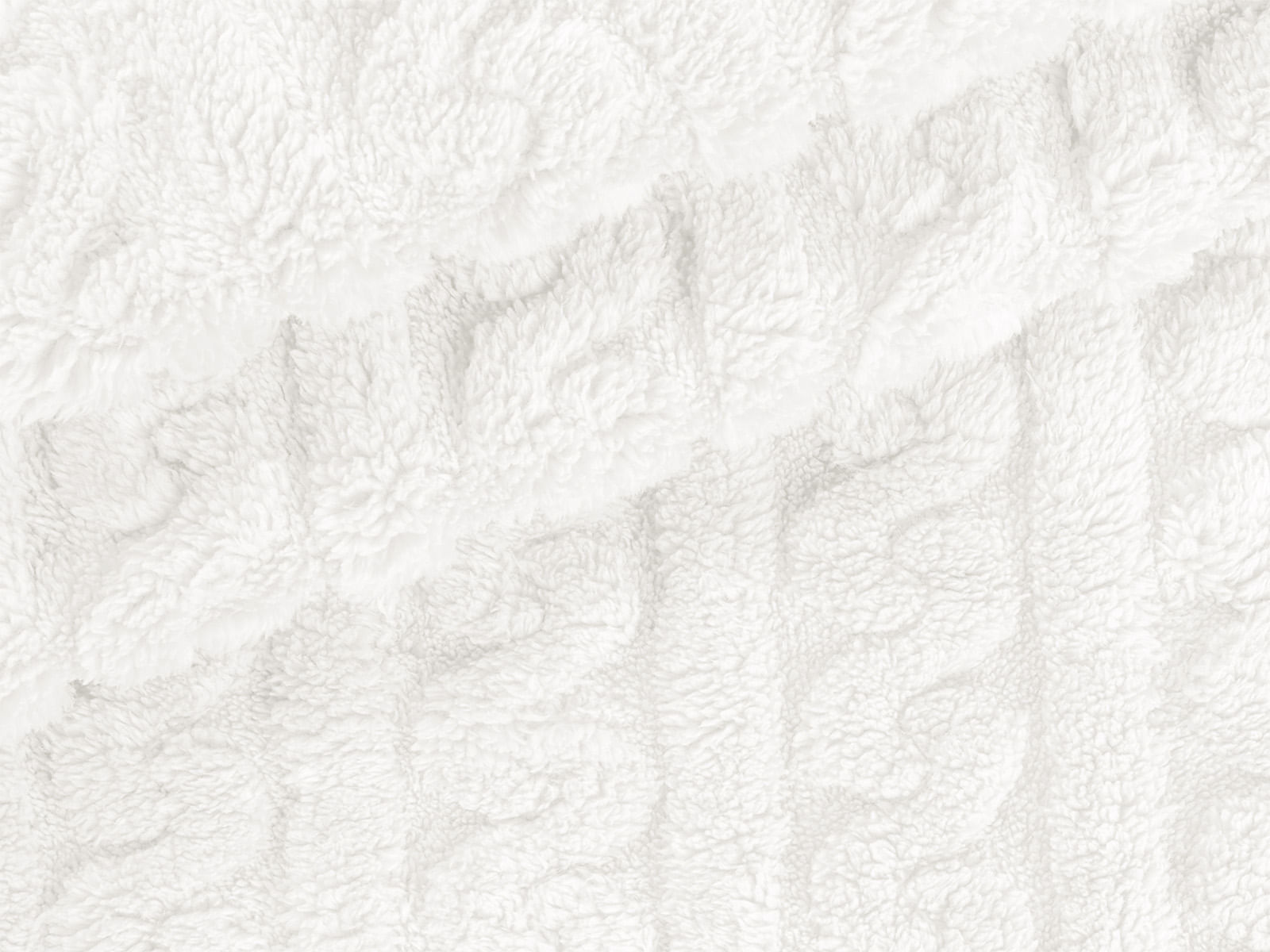 IMAGE_L