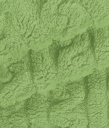 IMAGE_T