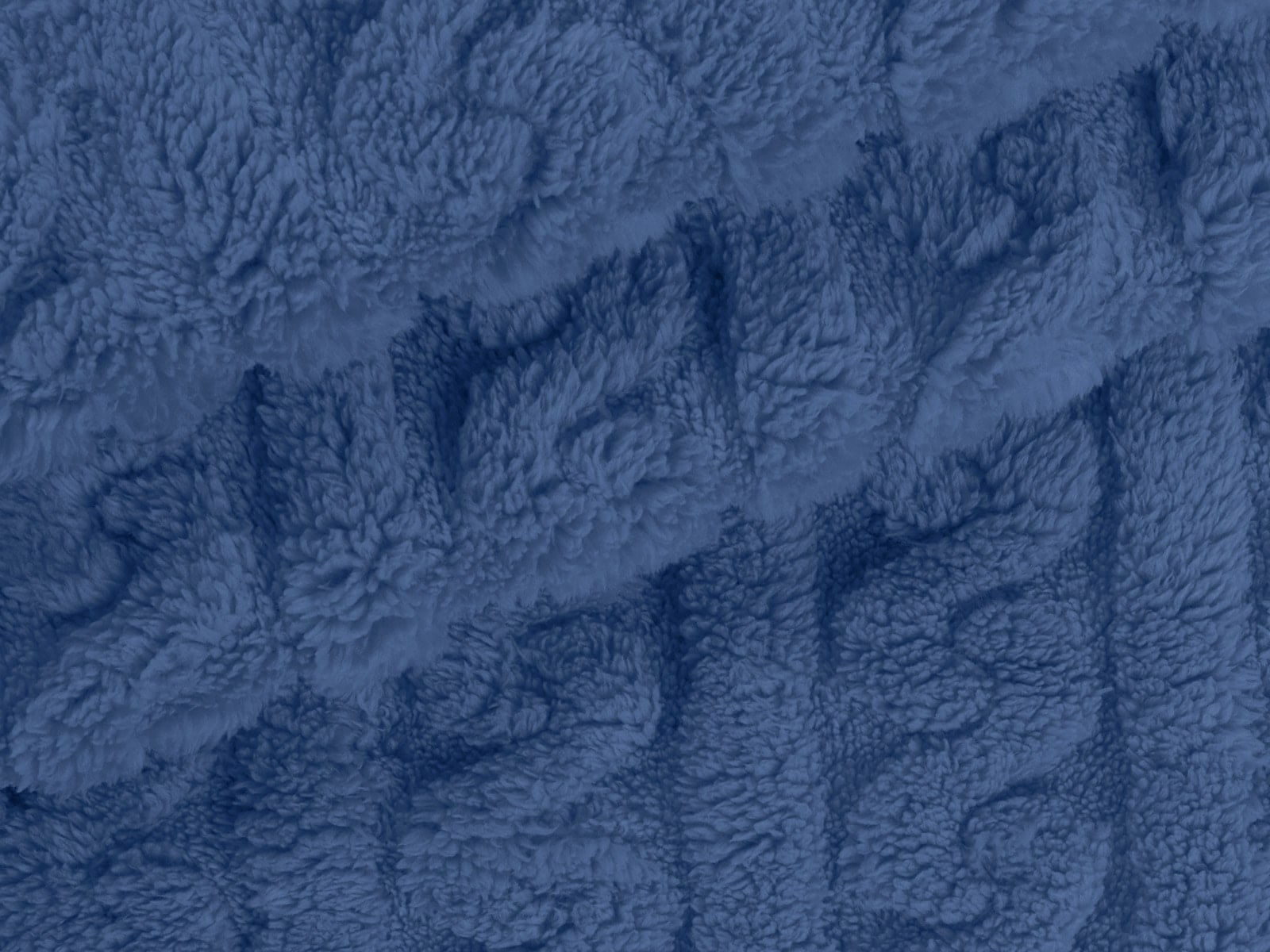 IMAGE_L