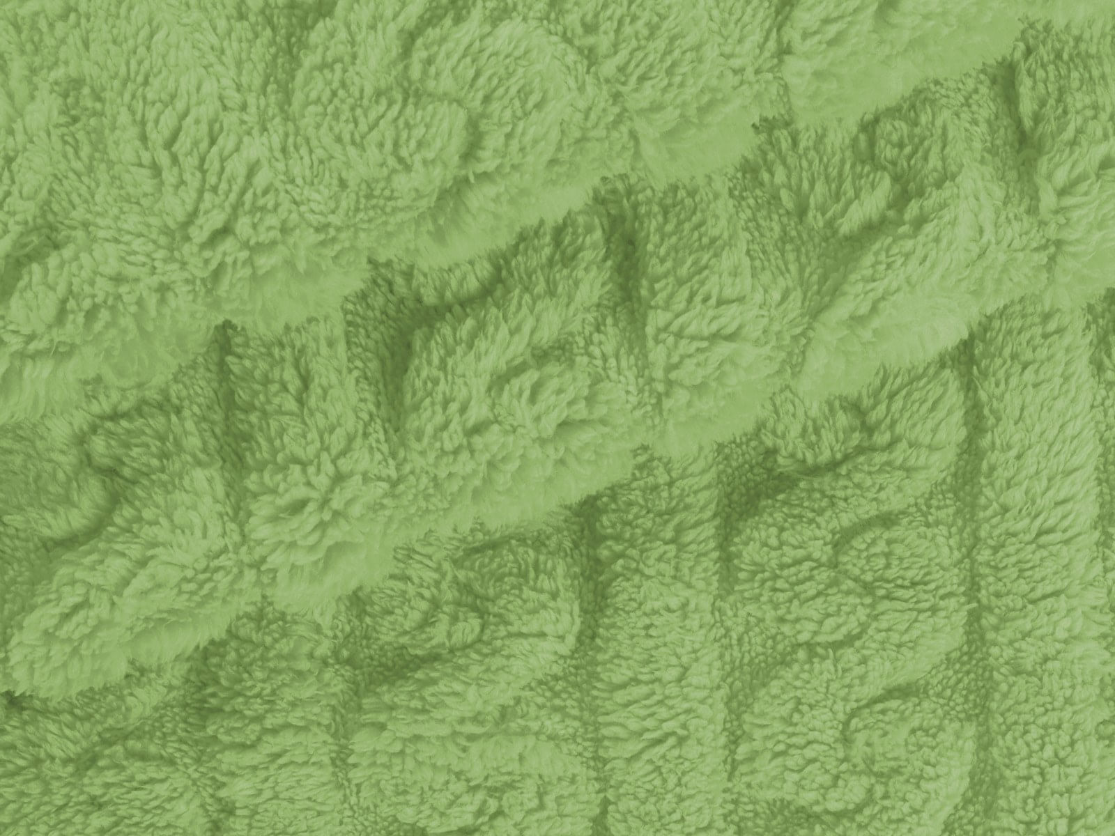 IMAGE_L