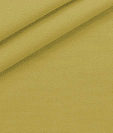 IMAGE_T