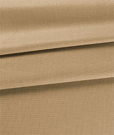 IMAGE_T
