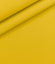 IMAGE_T