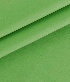 IMAGE_T