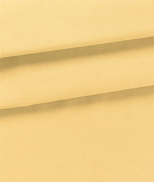 IMAGE_T