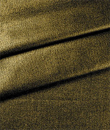 IMAGE_T