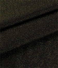 IMAGE_T