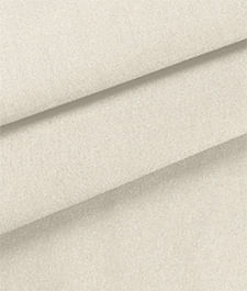 IMAGE_T
