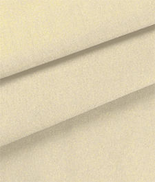 IMAGE_T