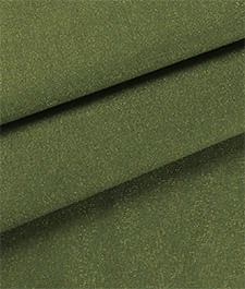 IMAGE_T