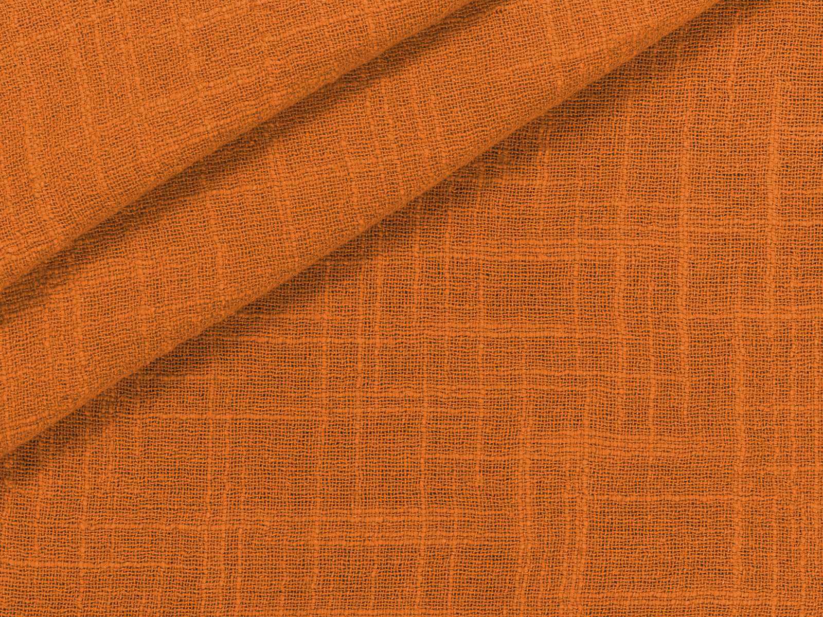 IMAGE_L