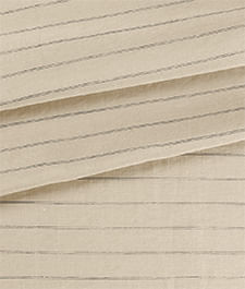 IMAGE_T