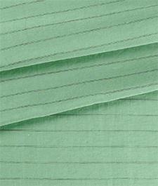 IMAGE_T