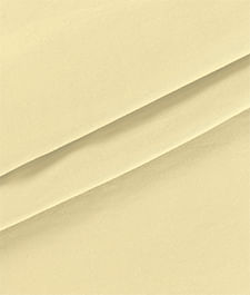 IMAGE_T