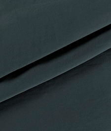 IMAGE_T