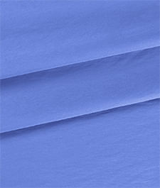 IMAGE_T