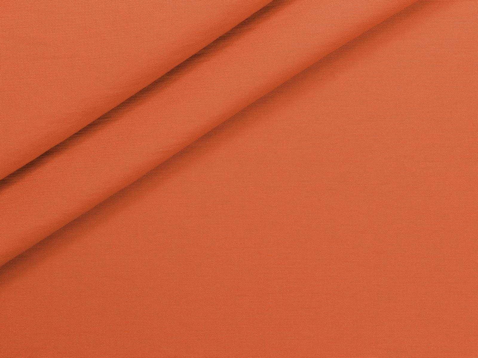 IMAGE_L