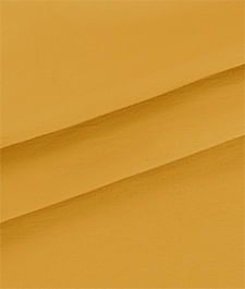 IMAGE_T