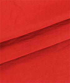 IMAGE_T