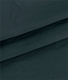 IMAGE_T