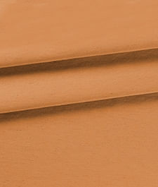 IMAGE_T
