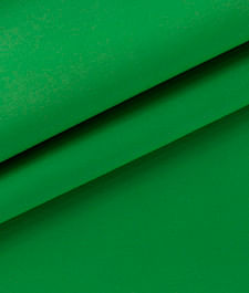 IMAGE_T