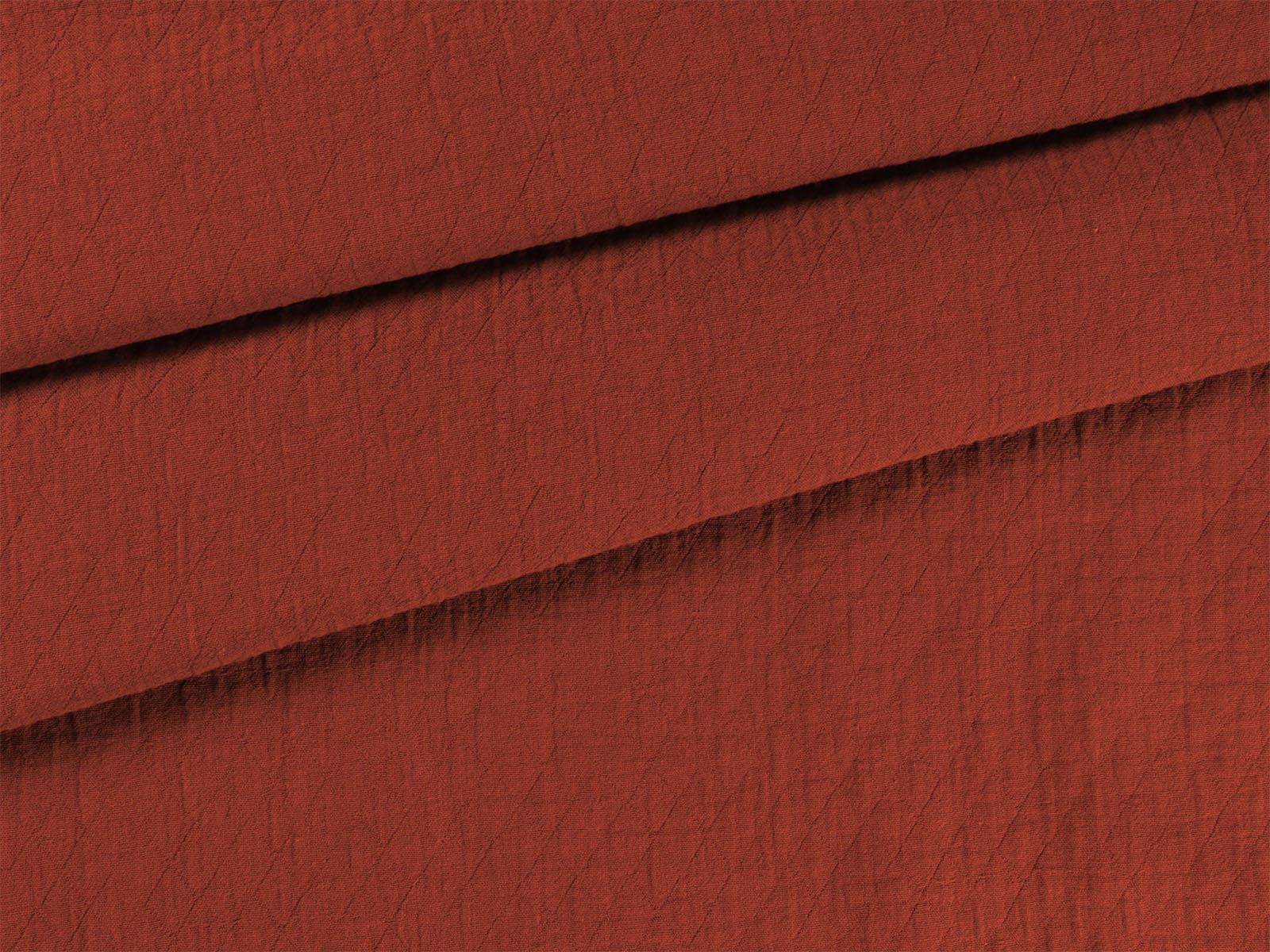 IMAGE_L