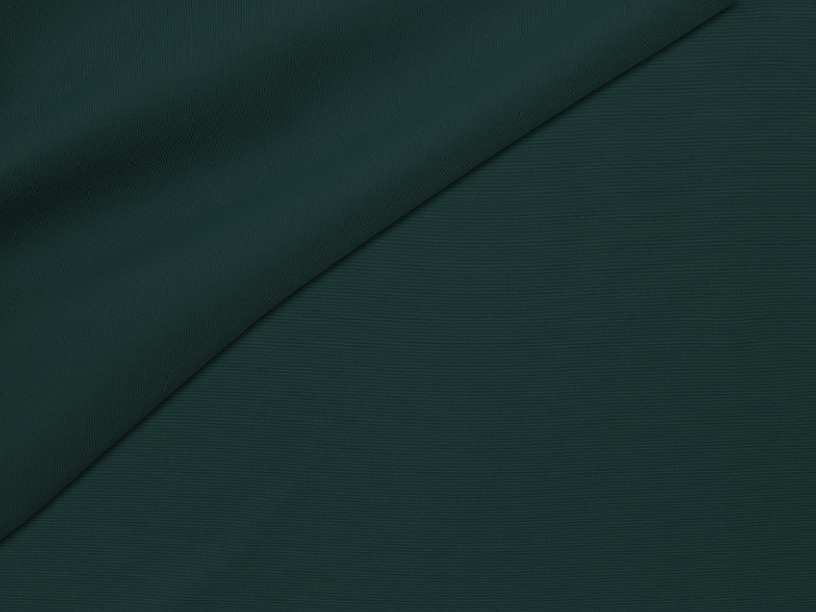 IMAGE_L