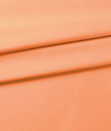IMAGE_T