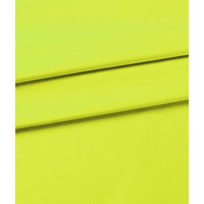 IMAGE_T