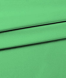IMAGE_T