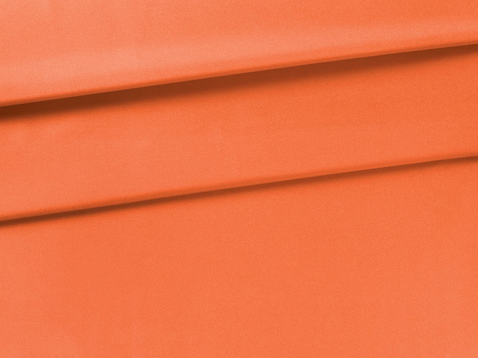 IMAGE_L