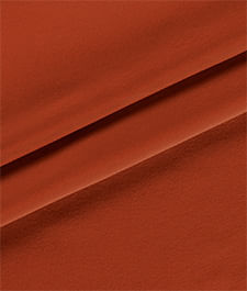 IMAGE_T
