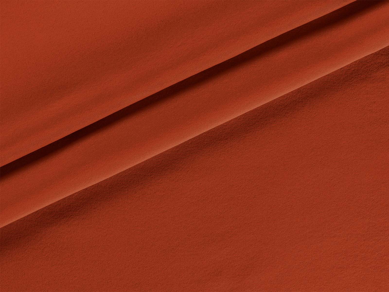 IMAGE_L