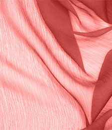 IMAGE_T