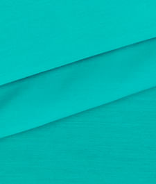 IMAGE_T