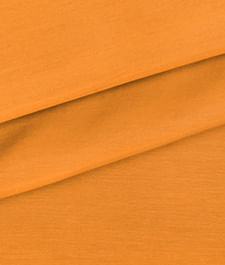 IMAGE_T