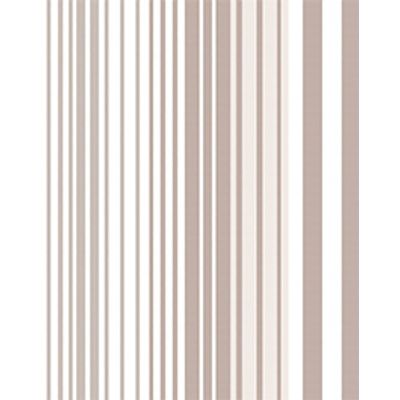 IMAGE_T